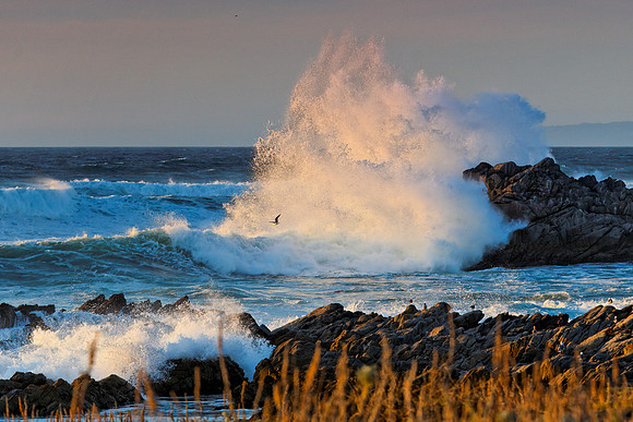 Pacific Grove, CA