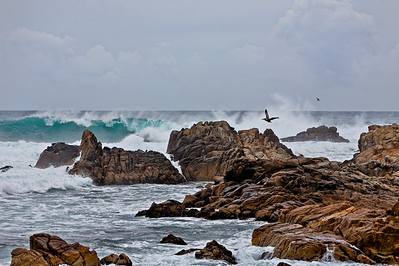 Pacific Grove Coast, CA