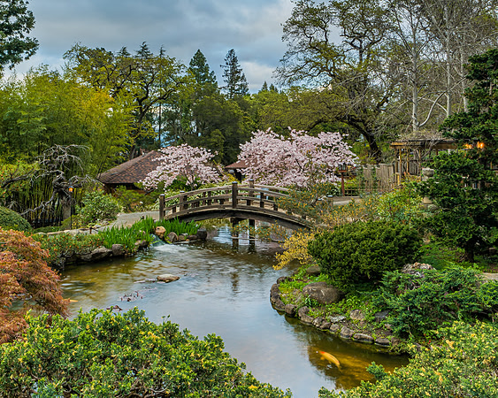 Hakone Estate and Gardens - Saratoga, CA