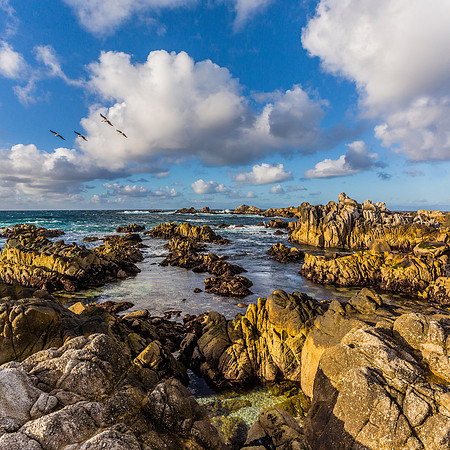 Asilomar Rocks
