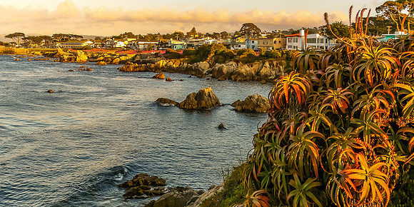 Pacific Grove Sunset