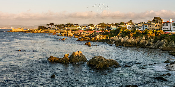 Pacific Grove Coastline