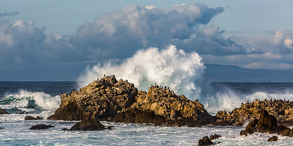 Asilomar State Beach Waves