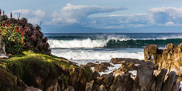 Pacific Grove Coastline