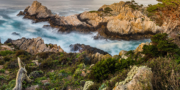 Point Lobos State Park