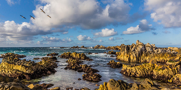 Asilomar Rocks