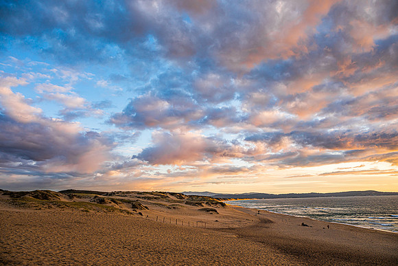 Marina State Beach