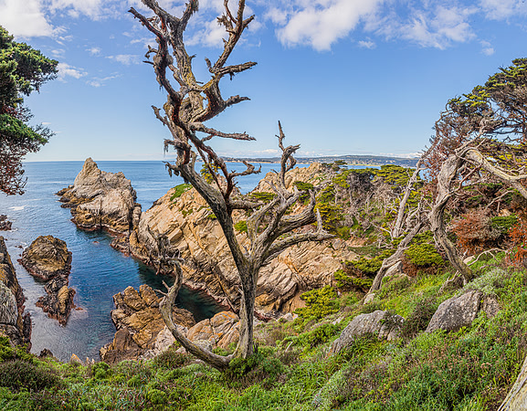 Point Lobos State Park