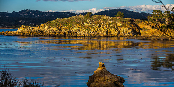 Point Lobos State Park