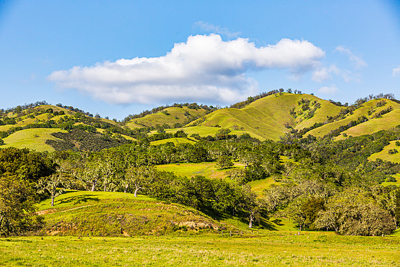 Carmel Valley hills