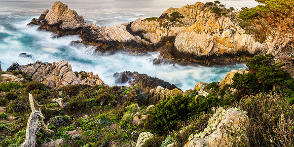 Point Lobos State Park