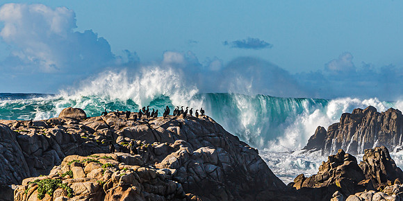 Waves at Asilomar State Beach - Pacific Grove