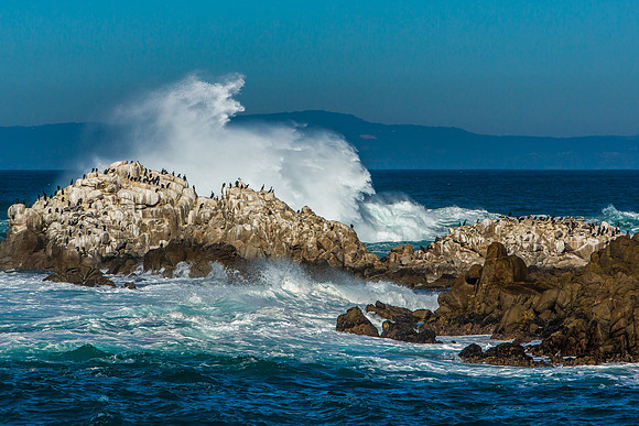 Waves at Asilomar State Beach - Pacific Grove