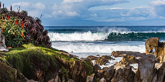Pacific Grove Coastline