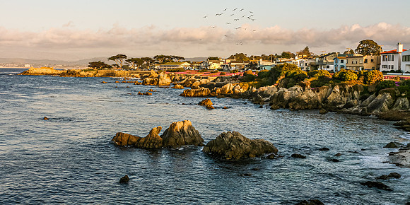 Pacific Grove Coastline