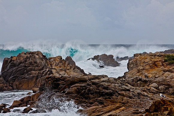 Pacific Grove Coast, CA