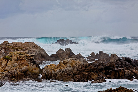 Pacific Grove Coast, CA