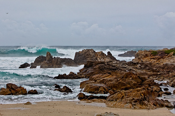 Pacific Grove Coast, CA
